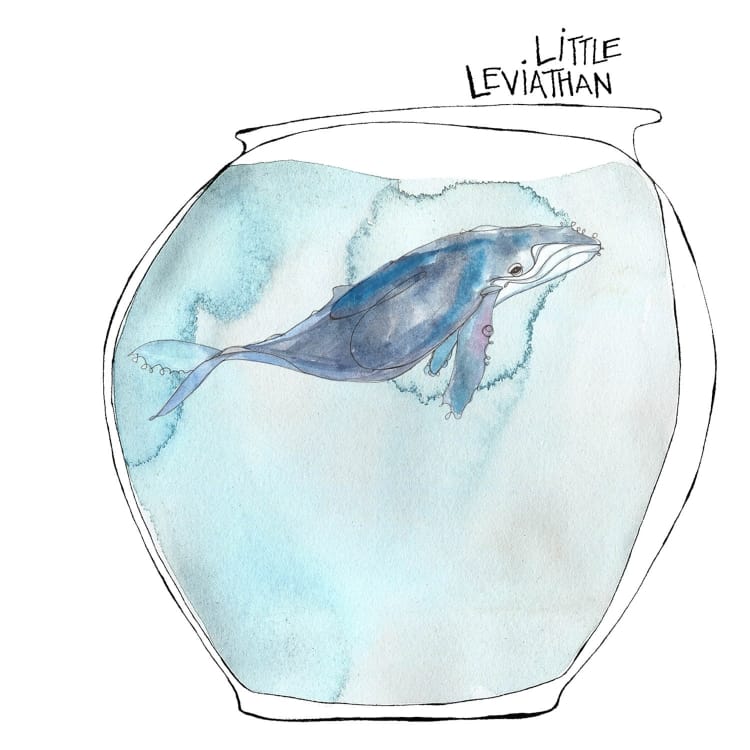 Album cover for Little Leviathan